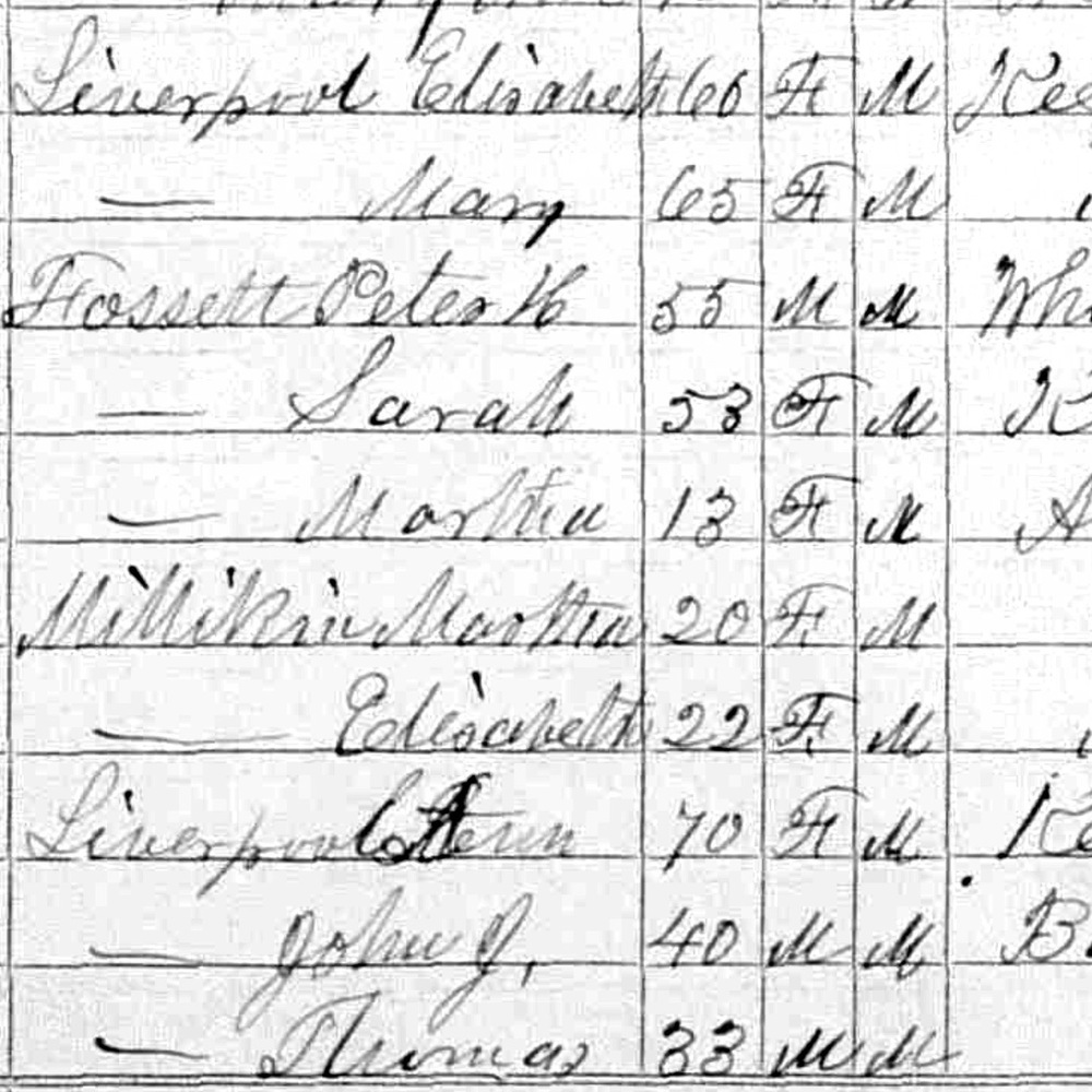 Census of 1870
